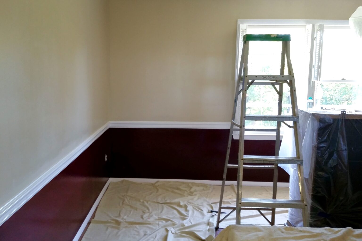 remodeling-a-home-interior-a-ladder-setup-in-the-2026-01-09-00-35-49-utc